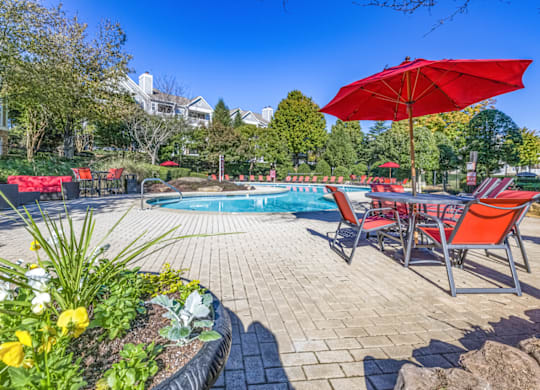 our apartments showcase a swimming pool