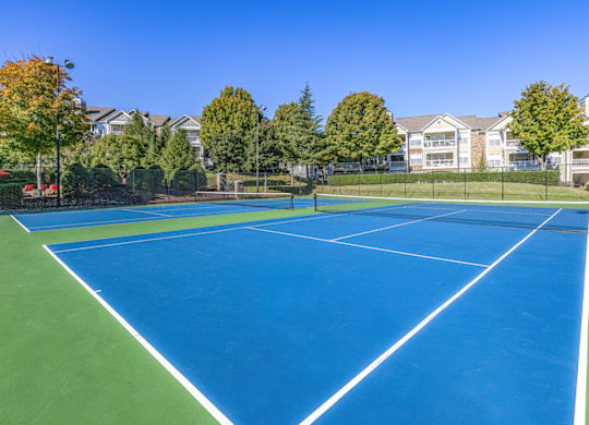 a blue and green tennis court with trees in the background