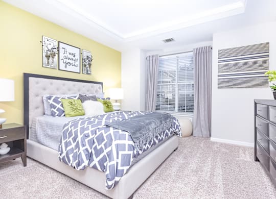 a bedroom with a large bed and a dresser