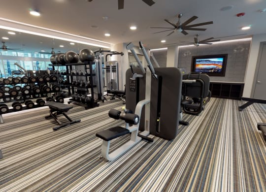 Interior view of fitness center facing treadmills, weights, and other workout equipment