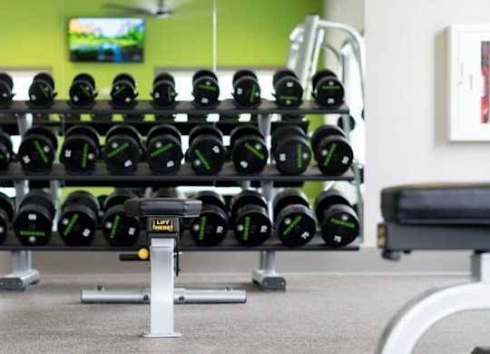 A gym with a row of black dumbbells on racks at Foxwood Apartments, Raleigh-Durham, 27616