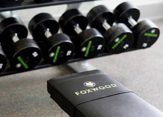 A black weight rack with green numbers and a black weight plate with a green number 2 at Foxwood Apartments, Raleigh-Durham, 27616