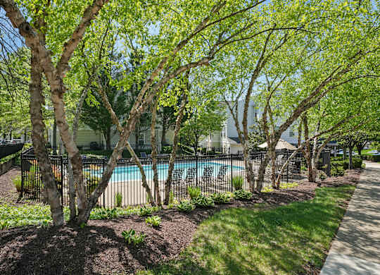 A pool surrounded by trees and a fence.