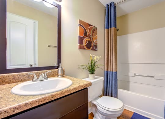 the preserve at ballantyne commons apartments bathroom with sink toilet and shower