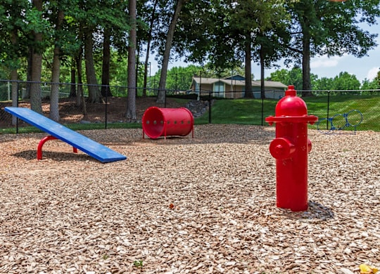 A red fire hydrant sits on a playground with a blue bench and two red barrels at Madison Southpark Apartment Homes, Charlotte, North Carolina