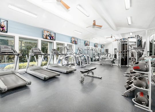 A gym with treadmills, weights, and exercise equipment at Madison Southpark Apartment Homes, Charlotte, North Carolina