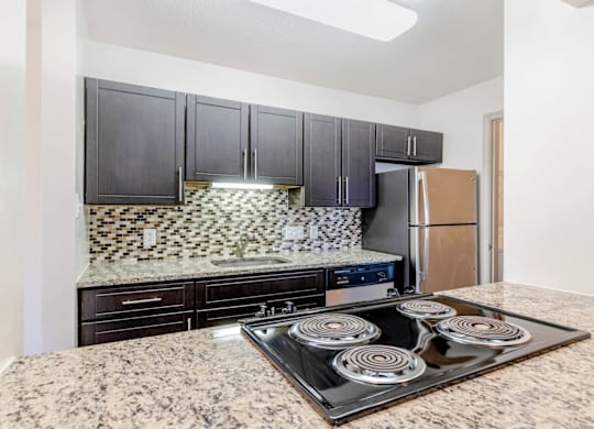 A kitchen with black cabinets and a granite countertop at Madison Southpark Apartment Homes, Charlotte