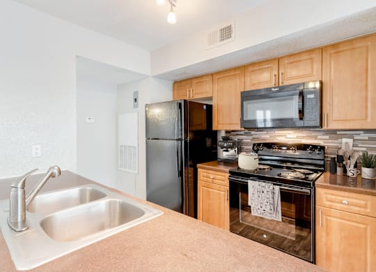 kitchen with wood cabinets, black appliances, and double-basin sink at Central on the Green Apartment Homes, Raleigh, North Carolina