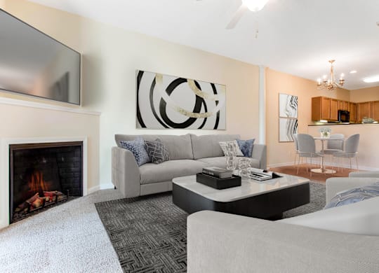 Fireplace Living at Ashley Court Apartments, North Carolina, 28262