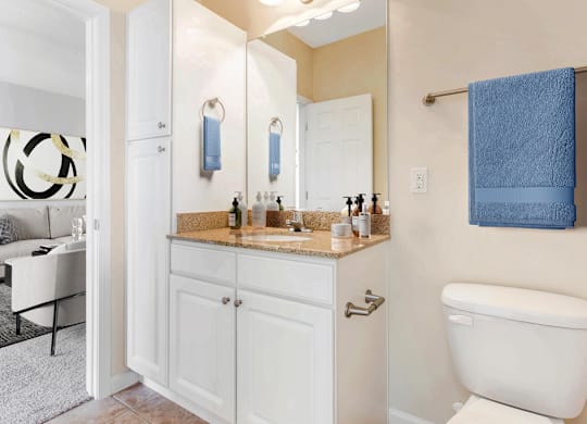 Luxurious Bathroom at Ashley Court Apartments, North Carolina