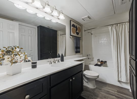 bathroom with black cabinetry and hardwood-style flooring