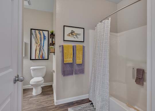 A bathroom with a toilet, a shower curtain, and a picture on the wall.