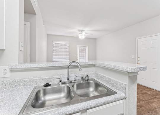 A kitchen with a double sink and a granite countertop.