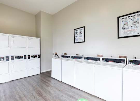 A laundry room with washers and dryers lined up.