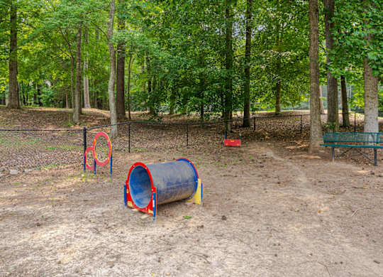 dog park with agility equipment