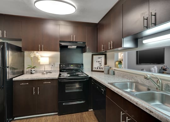 A modern kitchen with dark brown cabinets and black appliances.