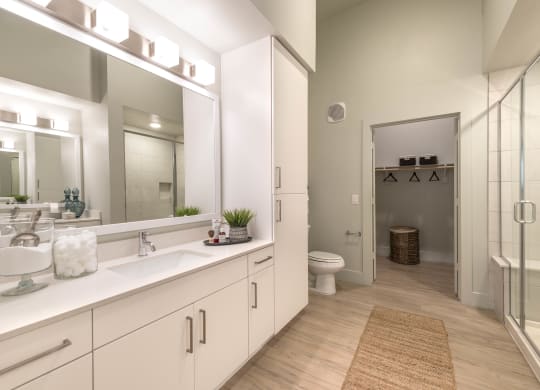 Bathroom with white countertops and cabinets with long mirror and view of toilet and walk-in closet