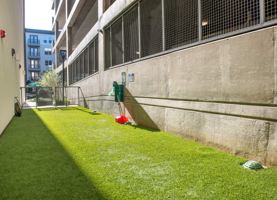 Outdoor dog park with grass and trash can in-between parking garage and building