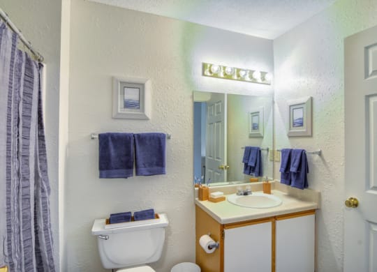 Bathroom space facing the under-sink cabinet and toilet with blue towels and decor
