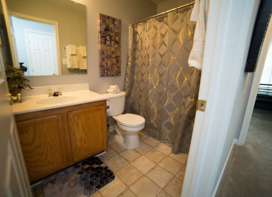Bathroom with mirror above sink and towel rack. Bath tub with shower curtain.