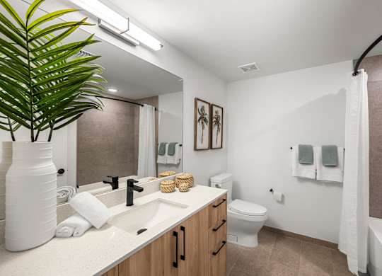a bathroom with a sink and a toilet and a mirror