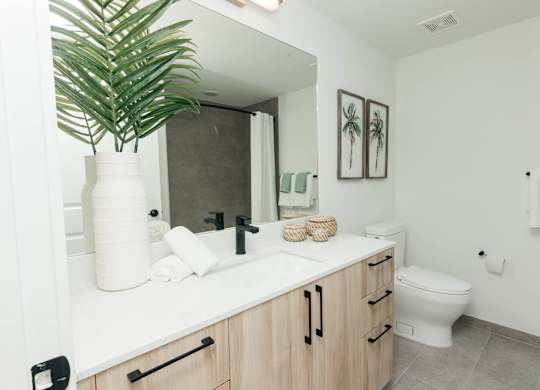 a bathroom with a sink and a mirror and a plant