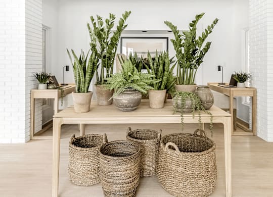 A wooden table with potted plants and baskets on it at Paces Pointe Apartment Homes, Matthews