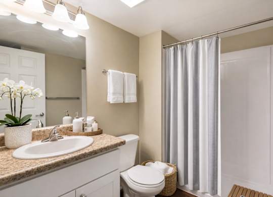 A bathroom with a toilet, sink, and shower curtain.