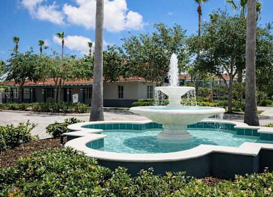 A fountain in the middle of a pool surrounded by green plants.