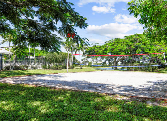 a volleyball court with trees in the background