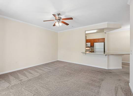 A room with a ceiling fan and carpeted floor.