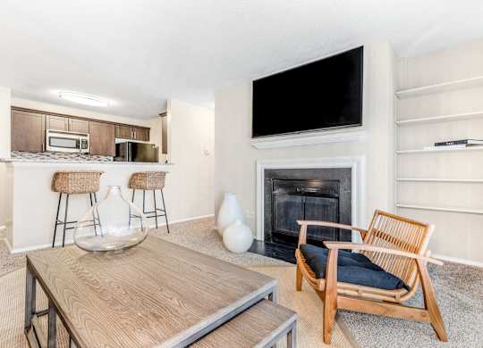 A modern living room with a fireplace and a television.