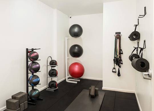 A gym with a red ball, a black ball, and a rack of kettlebells.