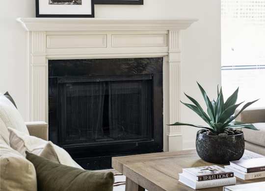 A living room with a fireplace, a couch, a coffee table, and a potted plant.