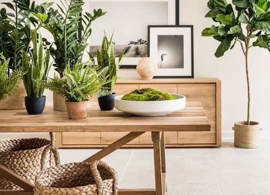A wooden table with a bowl of green plants and a framed picture on it.