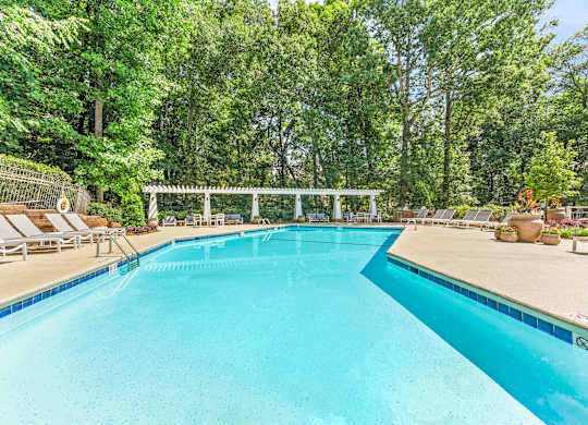 A large swimming pool surrounded by trees and lounge chairs.