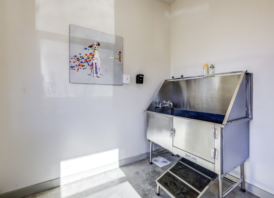 dog wash station with a painting of a dog on the wall
