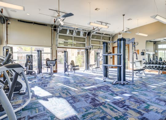 a gym with weights and cardio machines and a tv