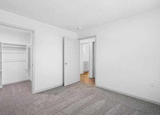 A carpeted room with a door and a closet.