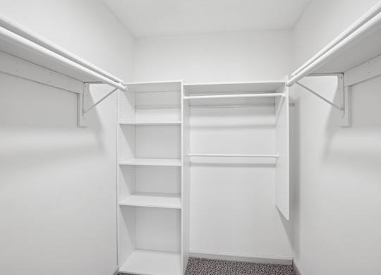 A white closet with shelves and a grey carpet.