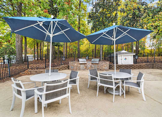 Grill And Patio at Woodlyn on the Green Apartment Homes, Cary