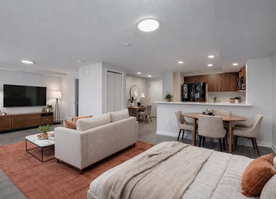 A modern living room with a grey couch and a brown rug.