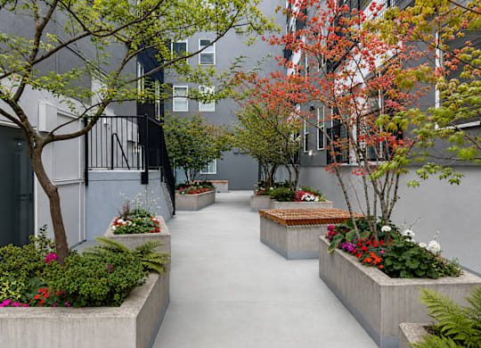 A concrete walkway with planters on either side.