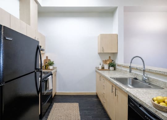 A black fridge in a kitchen with a sink and a counter.