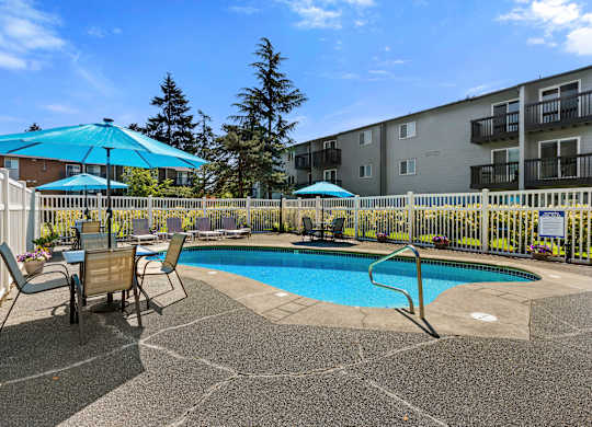 In-grounf Pool with Lounge Seating Surrounding It at Pacific Park Apartment Homes, Washington, 98026