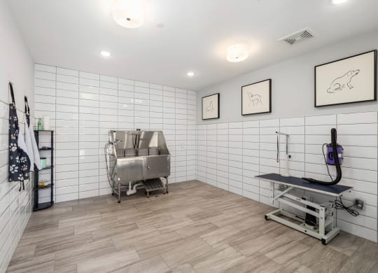 Pet spa with washing station at Griffin Weston pet-friendly apartments in Cary, NC.