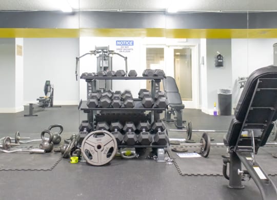 a view of the weights room at The Aspen, Virginia, 22305