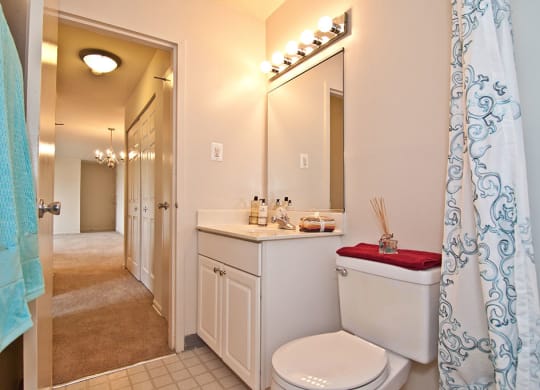 Luxurious Bathroom at Dulles Glen, Virginia