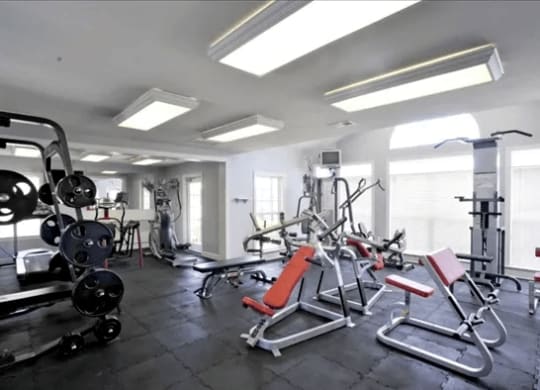 Fitness Center at Village on the Lake Apartments, Spring Lake