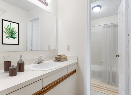 a bathroom with a sink and a shower at Hunter's Ridge Apartments, Apartments, Fayetteville, NC